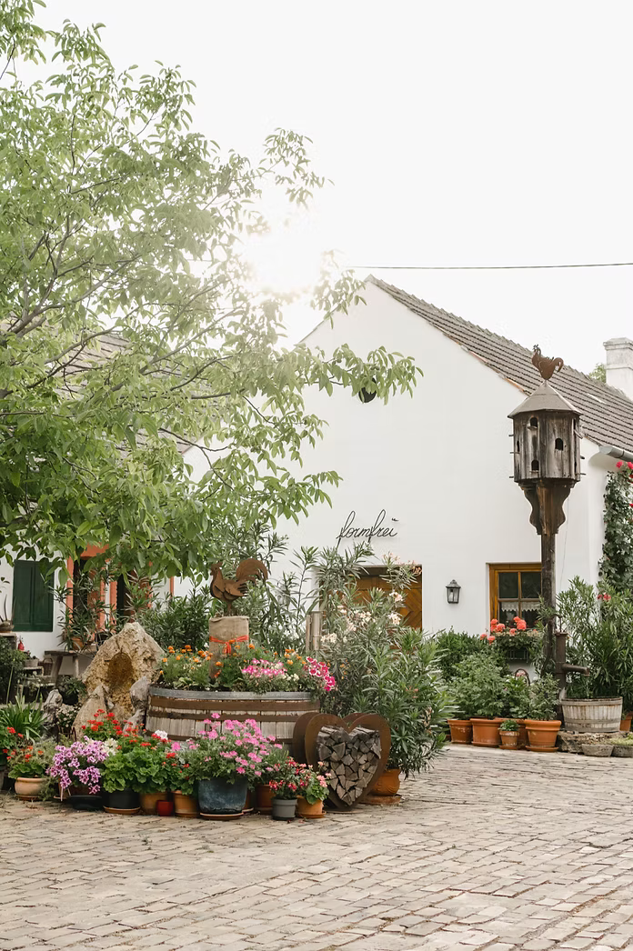 Der Hof eines Weingutes mit Blumen in der Mitte und einem alten Bauernhaus mit formfrei Logo im Hintergrund 